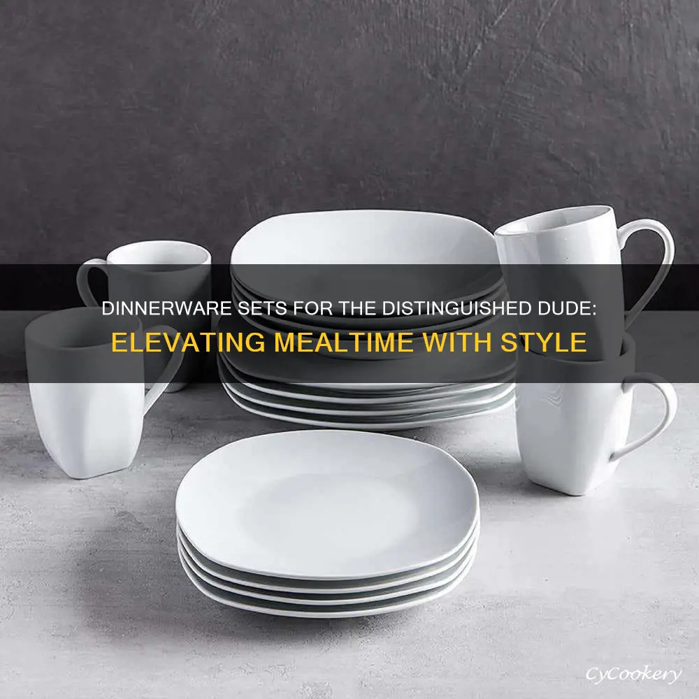 best dinnerware set for a dude