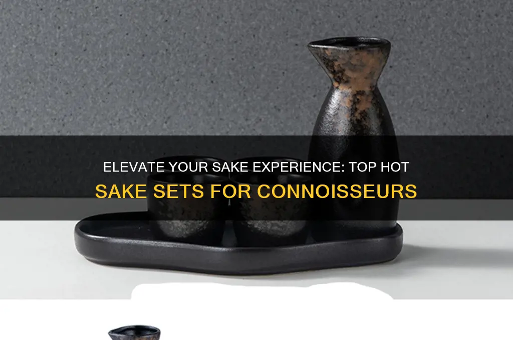 best hot sake set