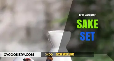 Discover the Perfect Japanese Sake Set for Your Next Tasting