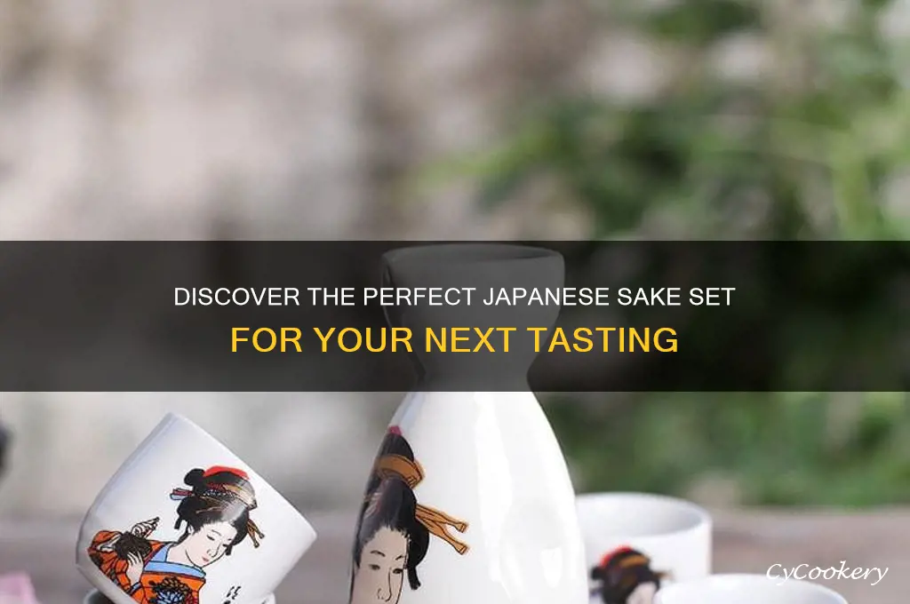 best japanese sake set