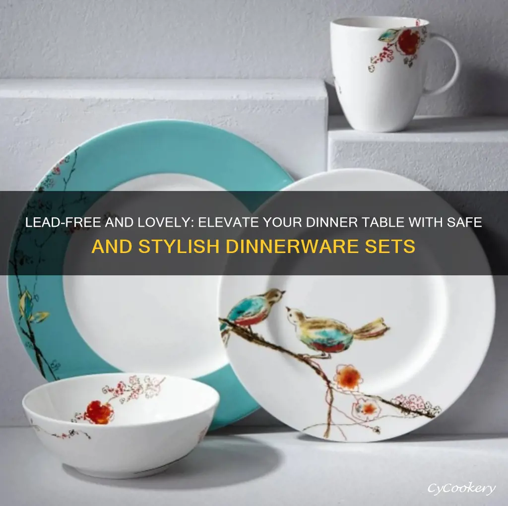 best lead free dinnerware sets