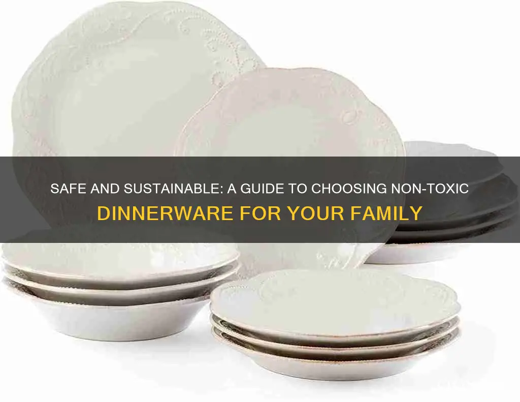 best non toxic dinnerware sets