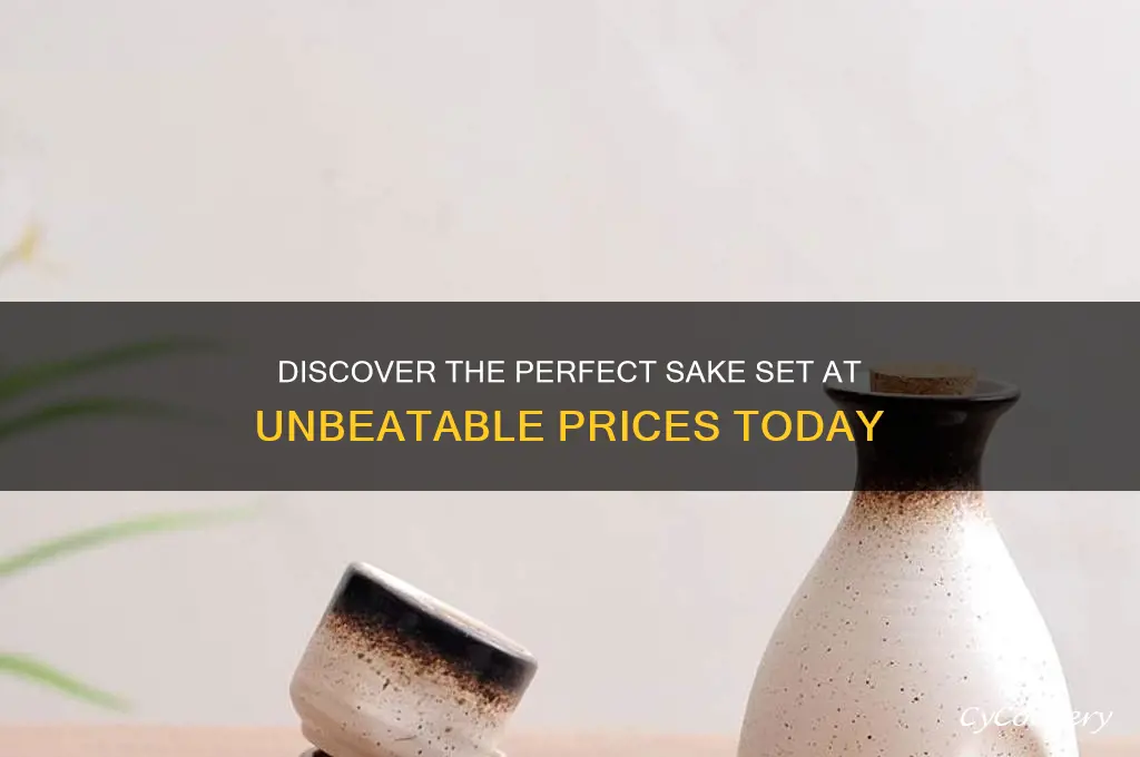 best price sake set
