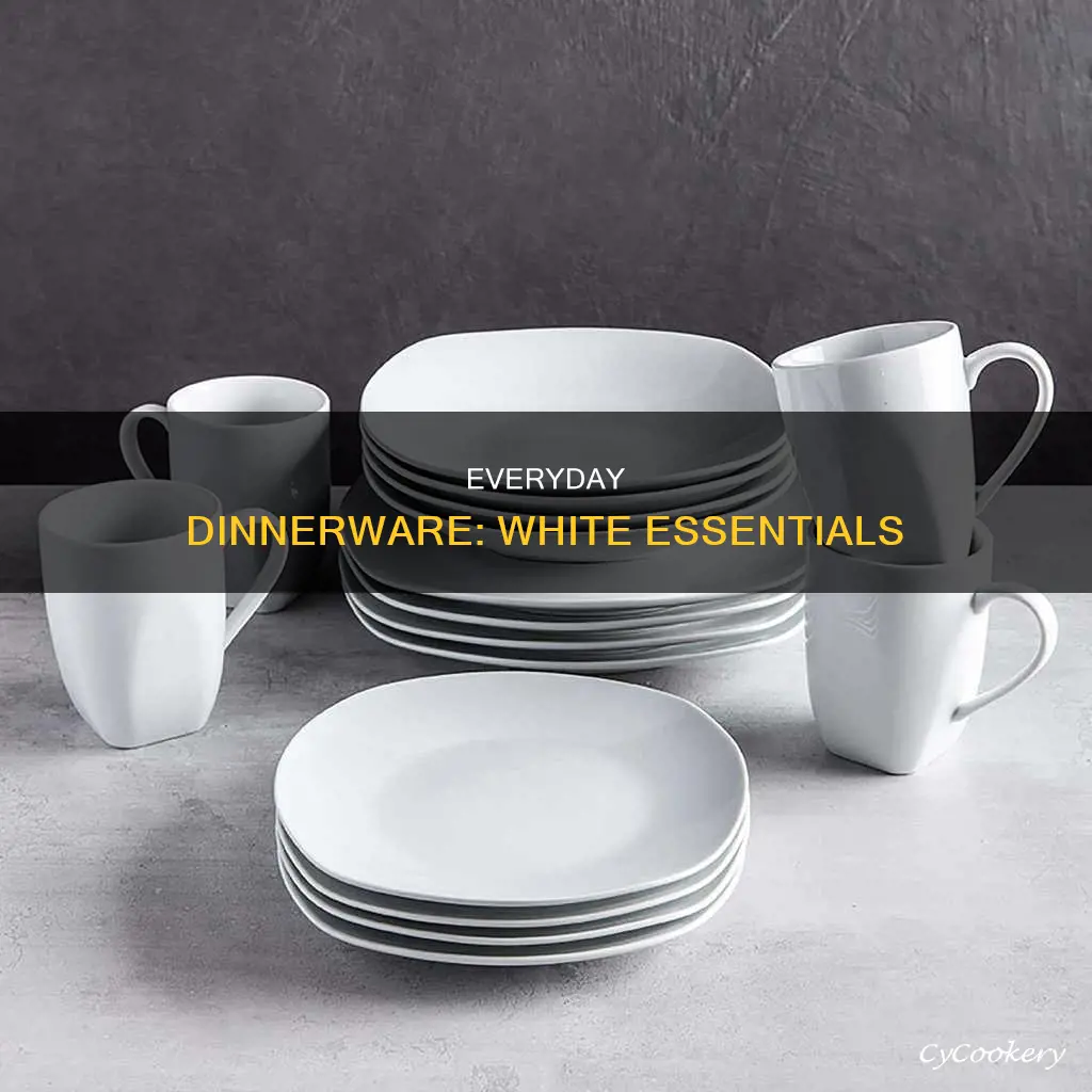 best white everyday dinnerware