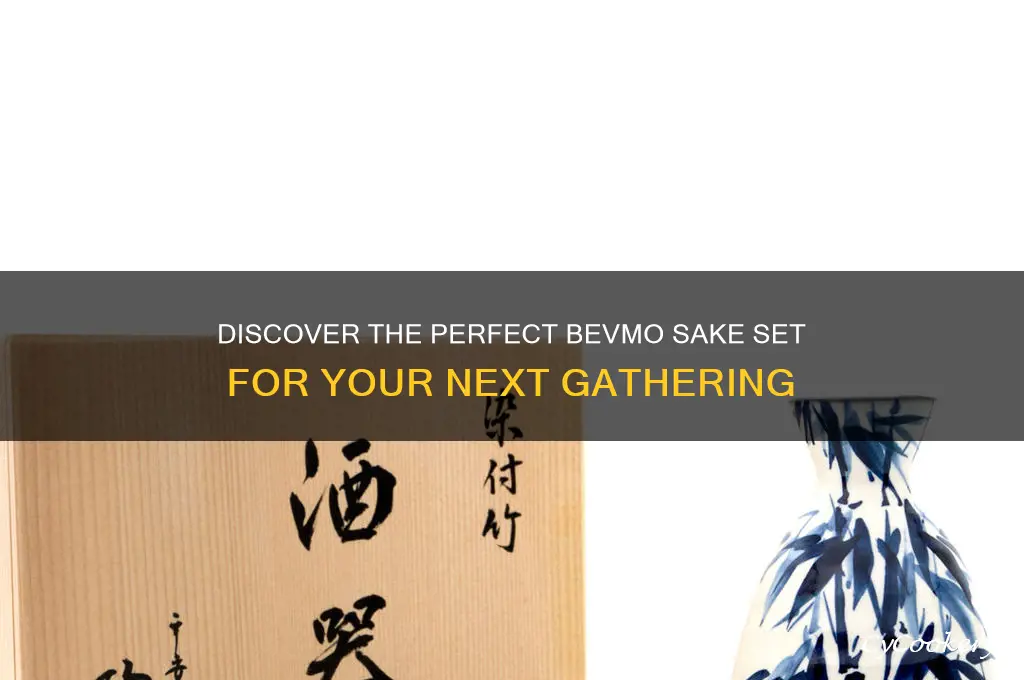 bevmo sake set