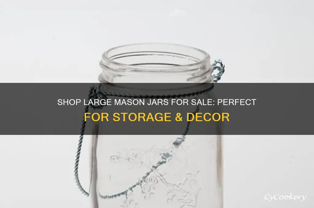 big mason jars for sale
