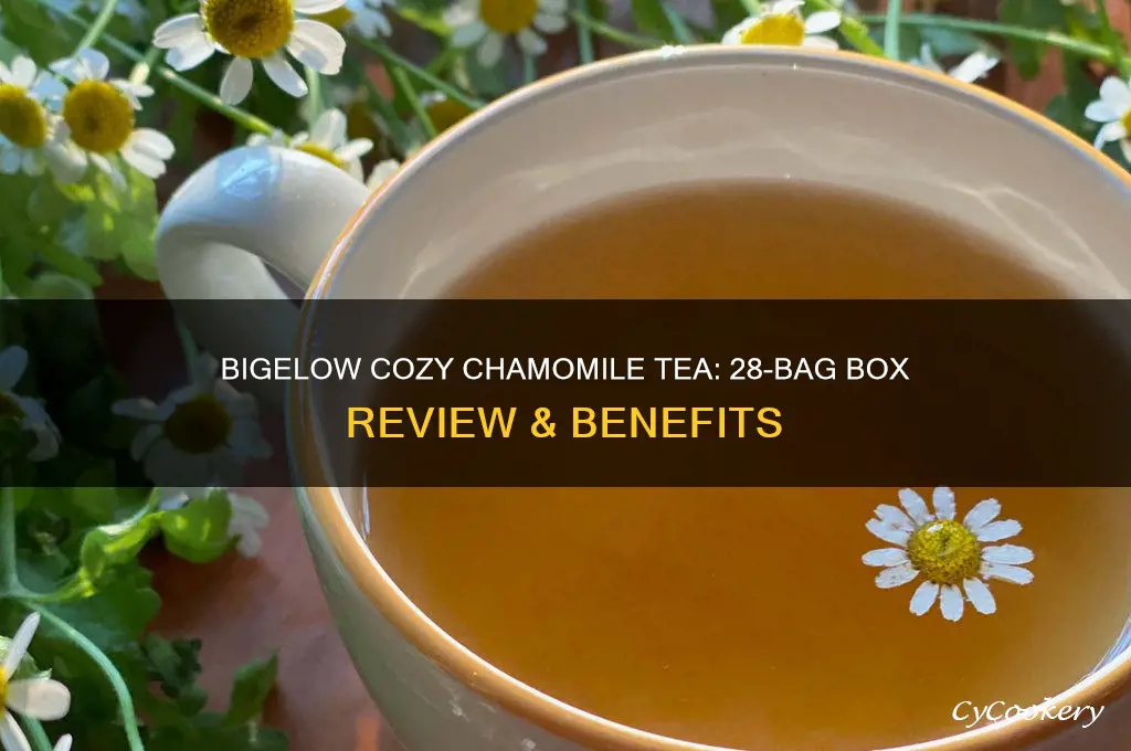 bigelow cozy chamomile tea bag box 28