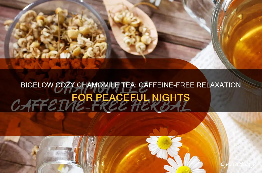 bigelow cozy chamomile tea caffeine