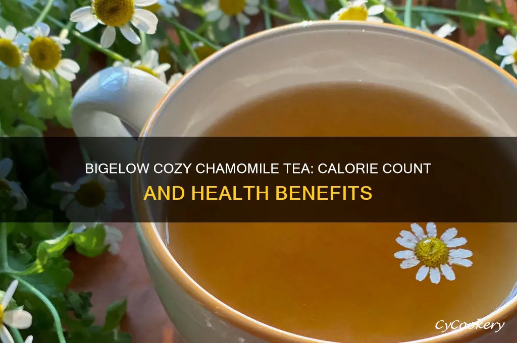 bigelow cozy chamomile tea calories