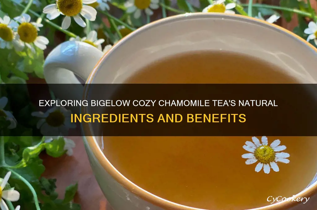 bigelow cozy chamomile tea ingredients