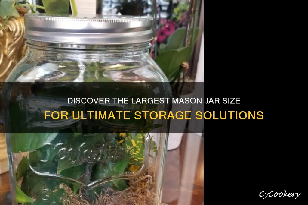 biggest size mason jar