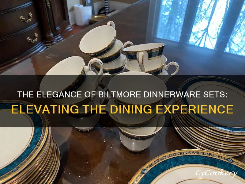 biltmore dinnerware set