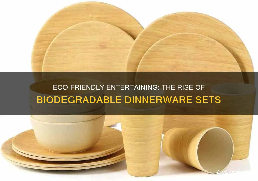 biodegradable dinnerware set