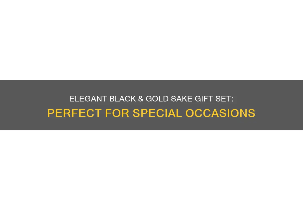 black and gold sake gift set