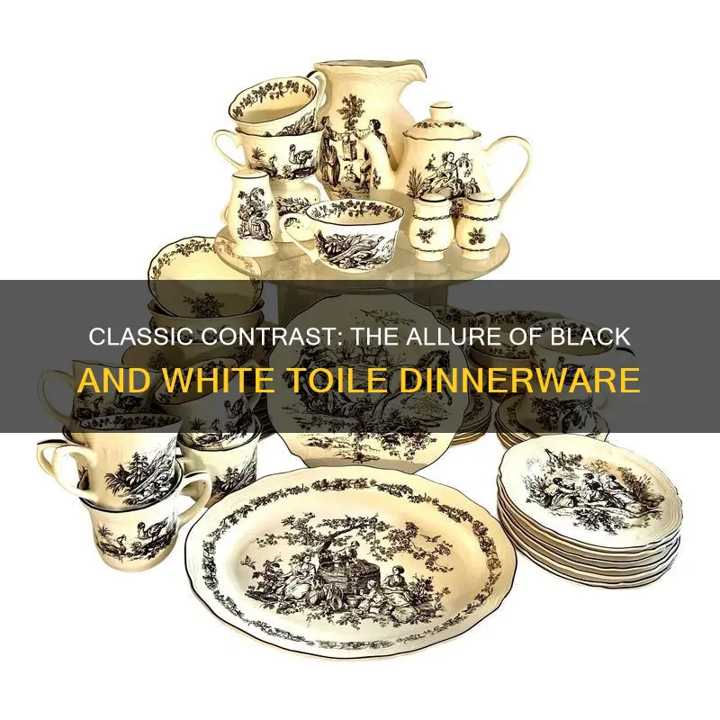 black and white toile dinnerware set