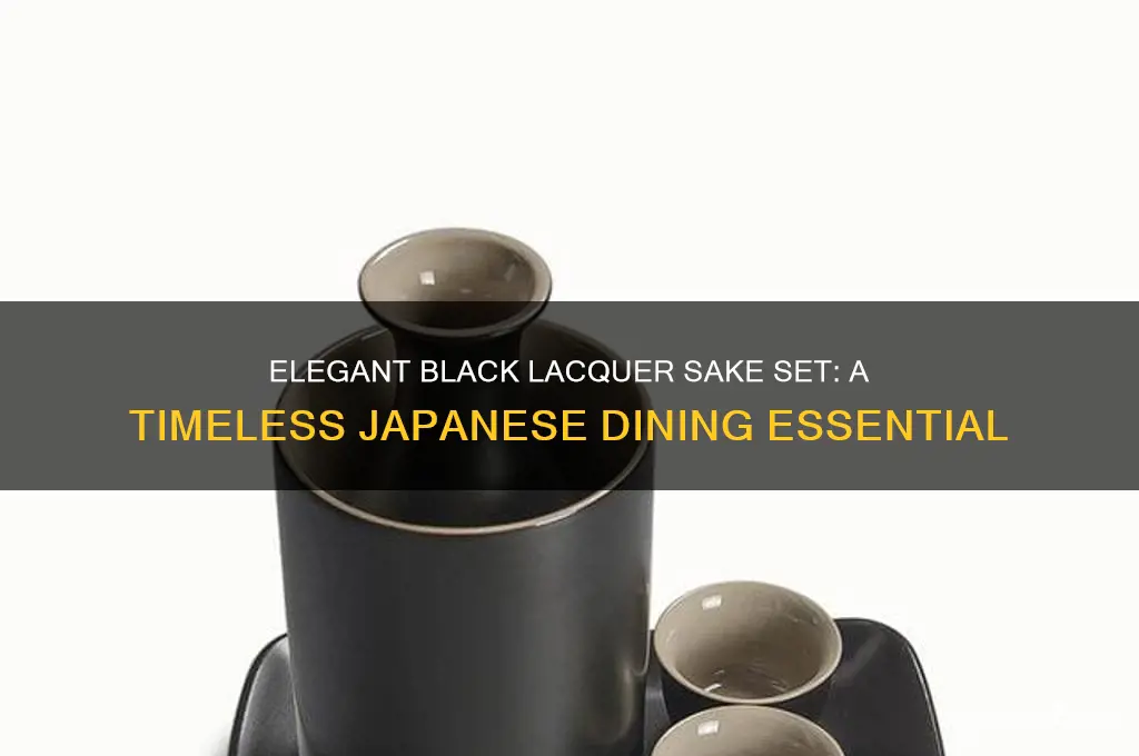 black lacquer sake set