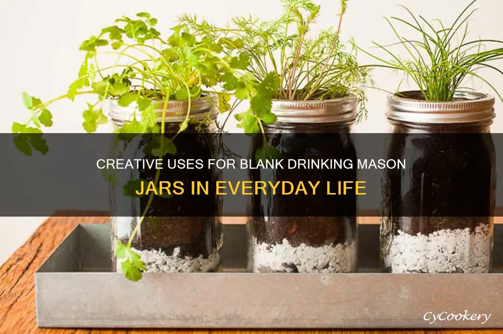 blank drinking mason jars