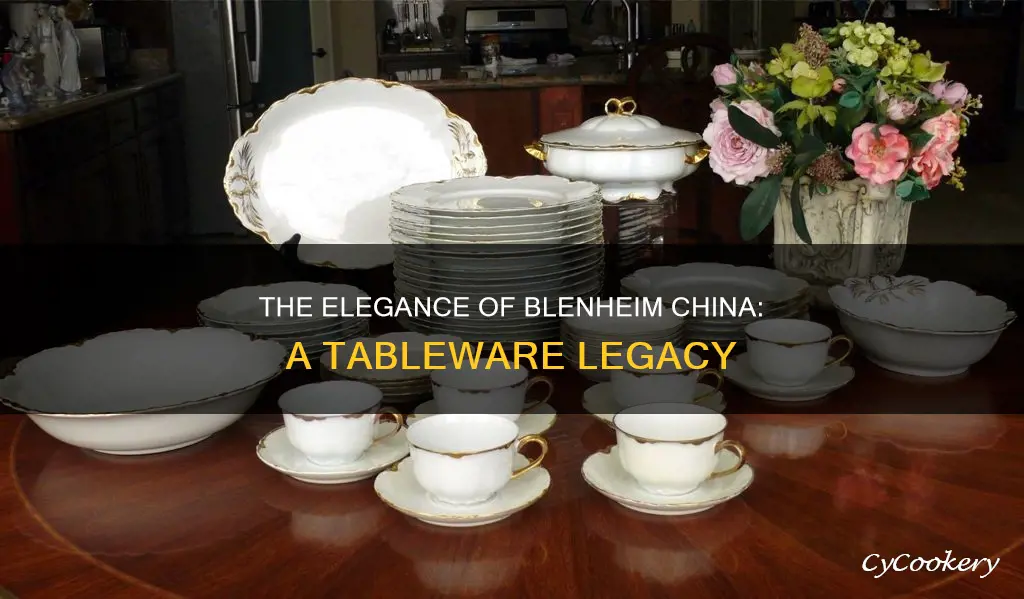 blenheim china dinnerware set