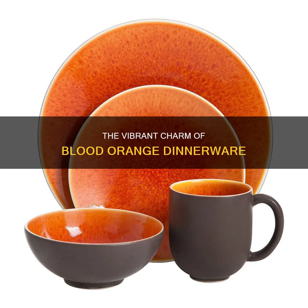 blood orange dinnerware set