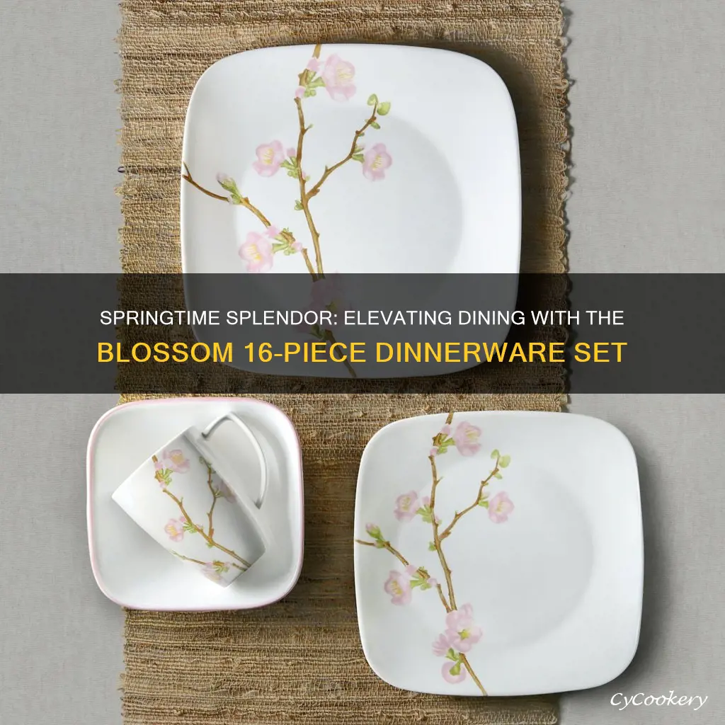 blossom 16 piece dinnerware set