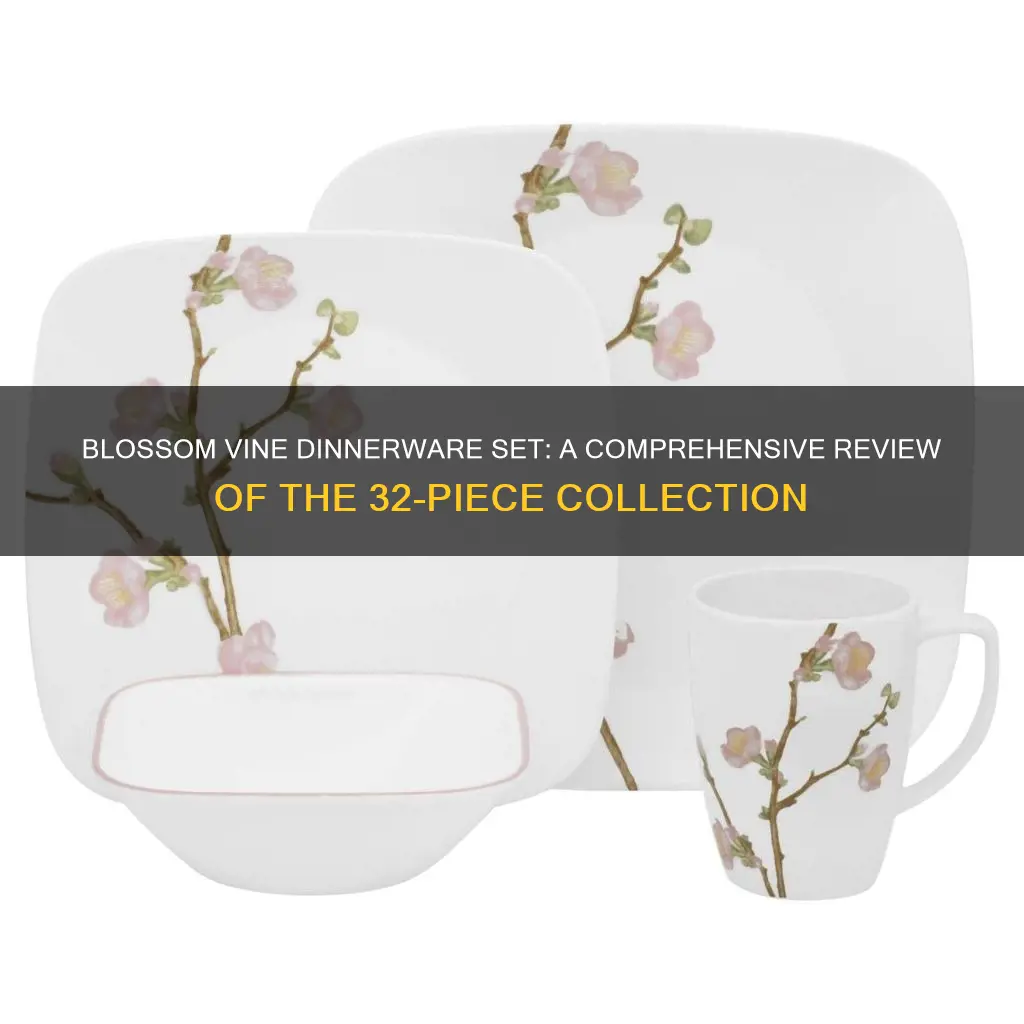 blossom vine 32 piece dinnerware set reviews