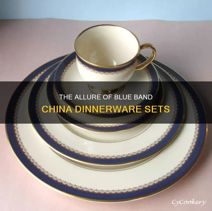 blue band china dinnerware set