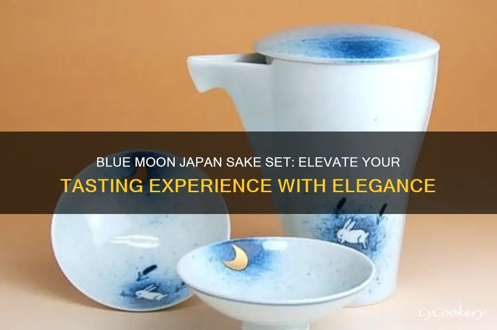 blue moon japan sake set