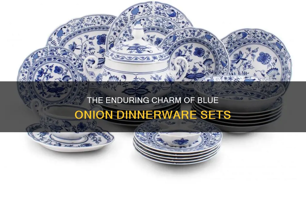 blue onion dinnerware sets