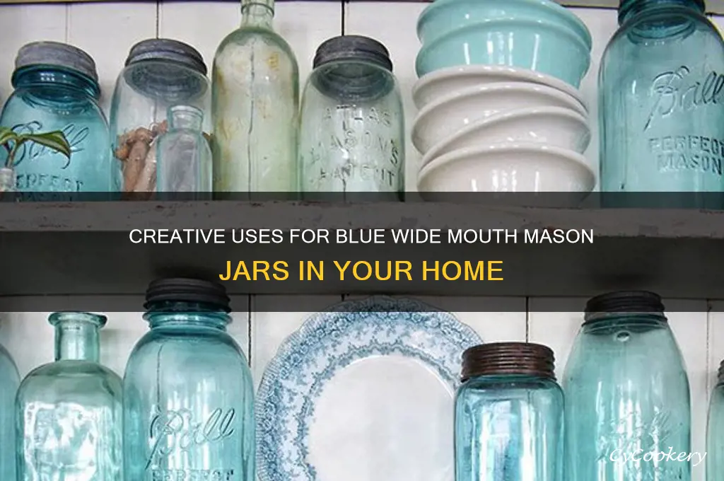 blue wide mouth mason jars