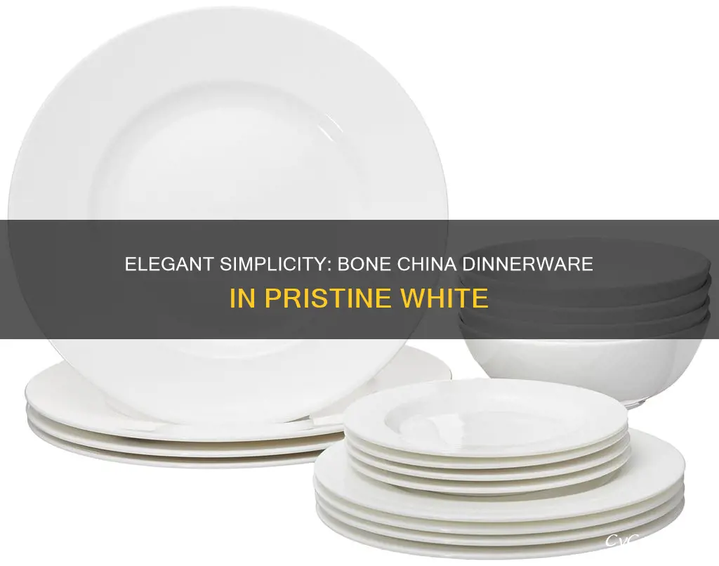 bone china dinnerware set white