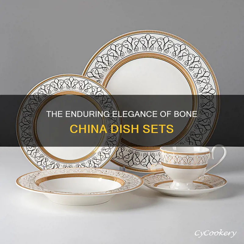 bone china dish sets