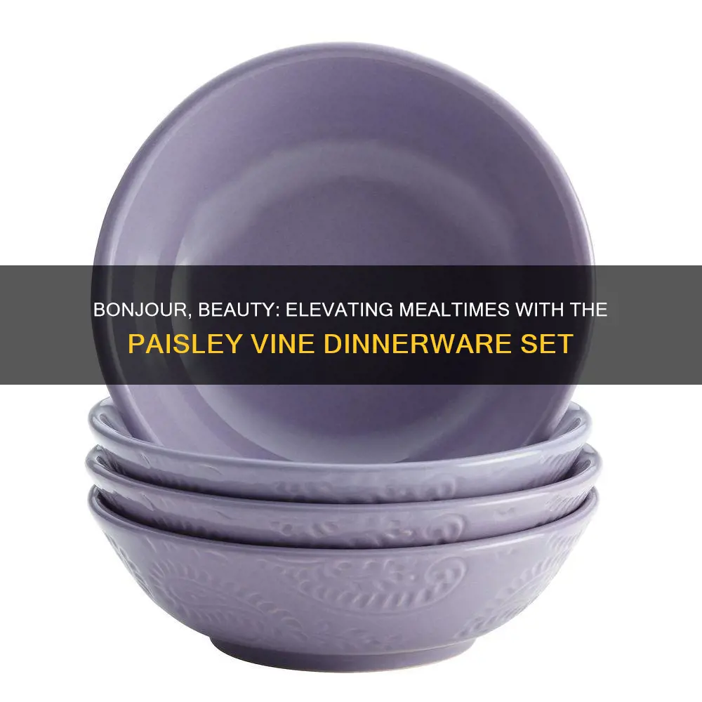 bonjour paisley vine dinnerware sets