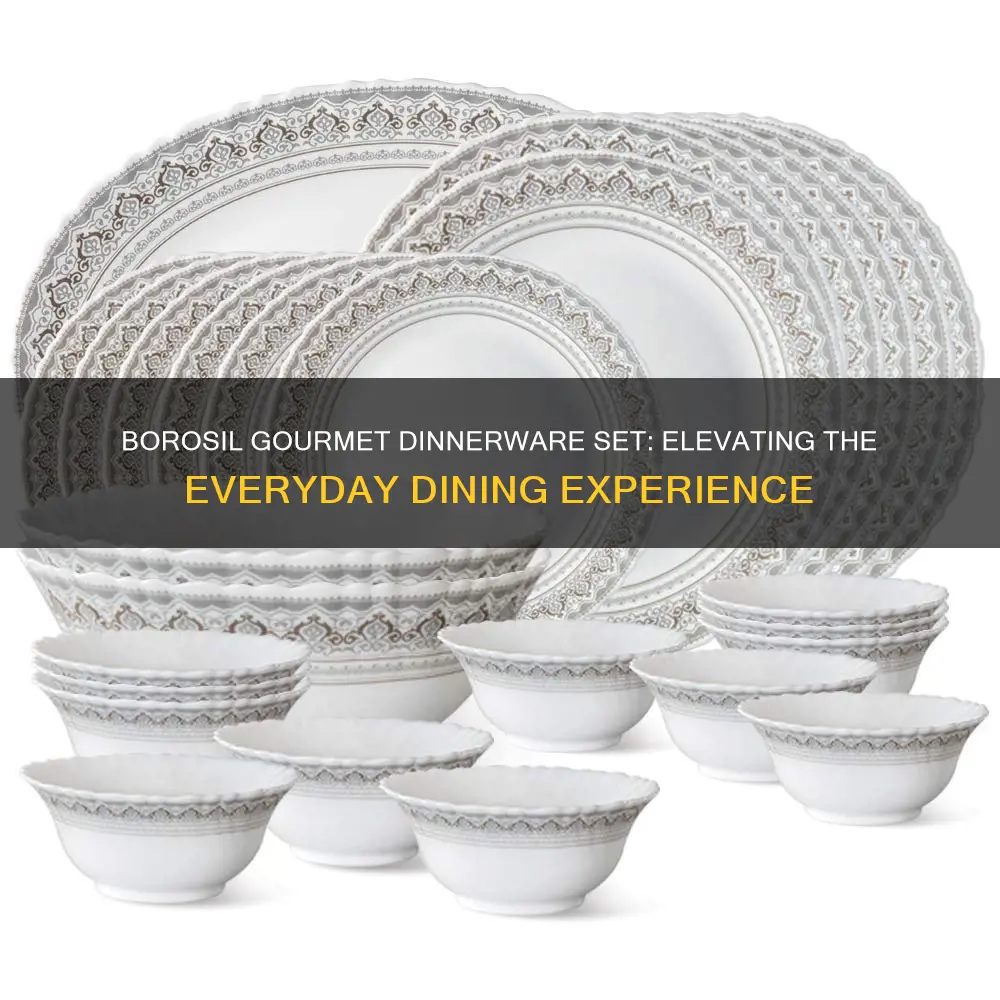 borosil gourmet dinnerware set