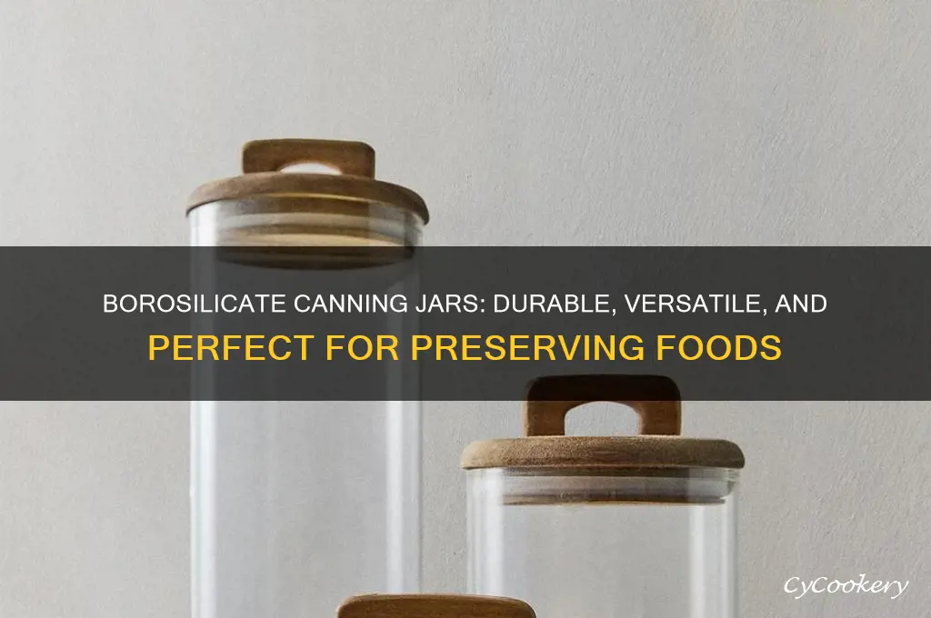borosilicate canning jars