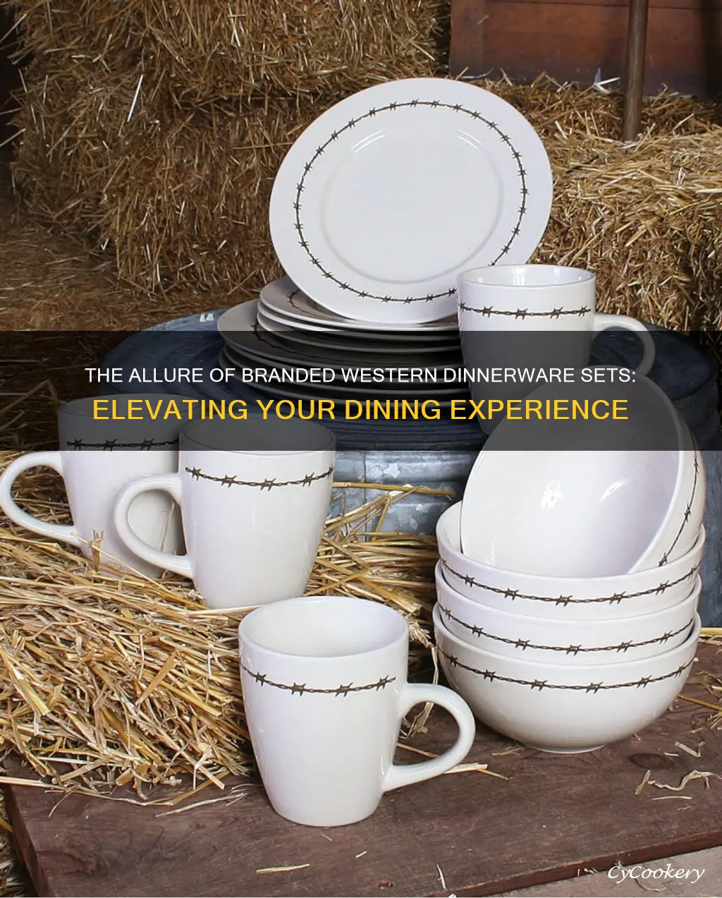 branded western dinnerware set