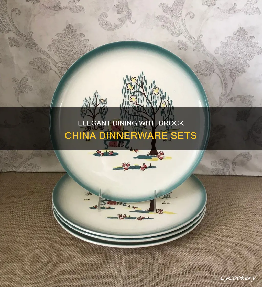 brock china dinnerware set