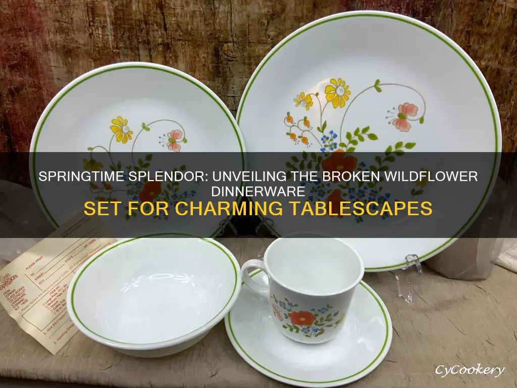 broken wildflower 16 piece dinnerware set