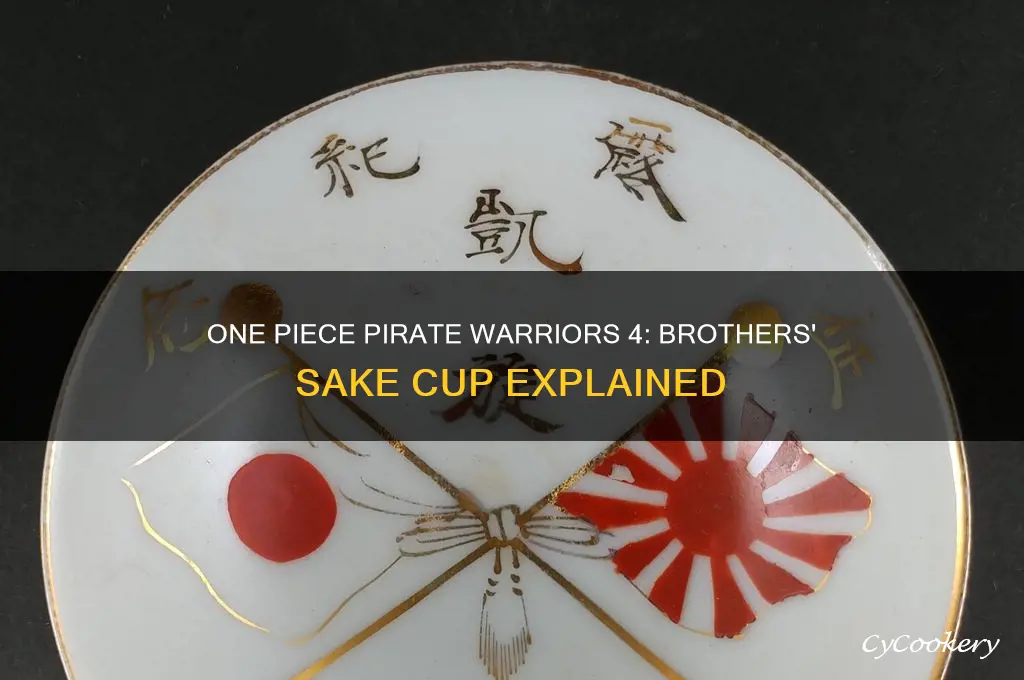 brothers sake cup one piece pirate warriors 4