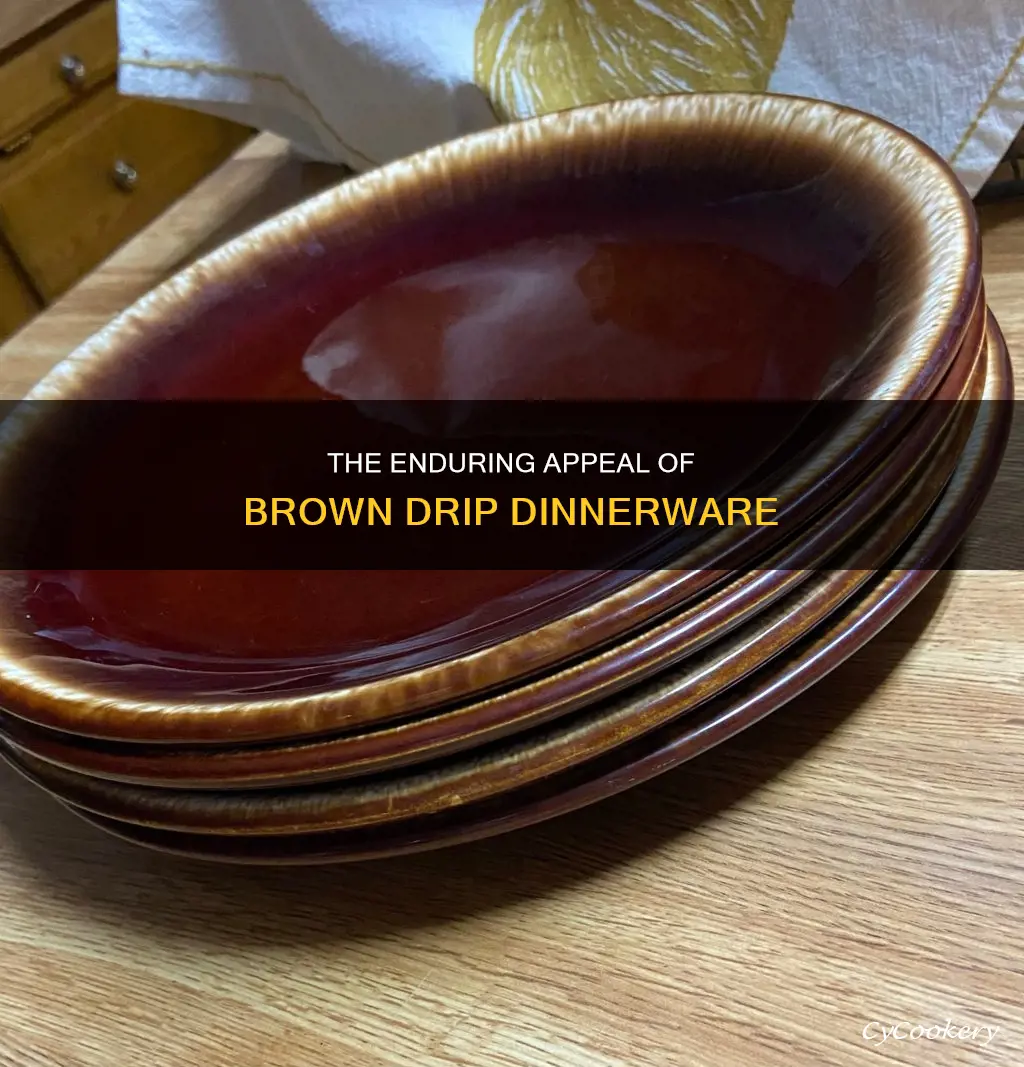 brown drip dinnerware set