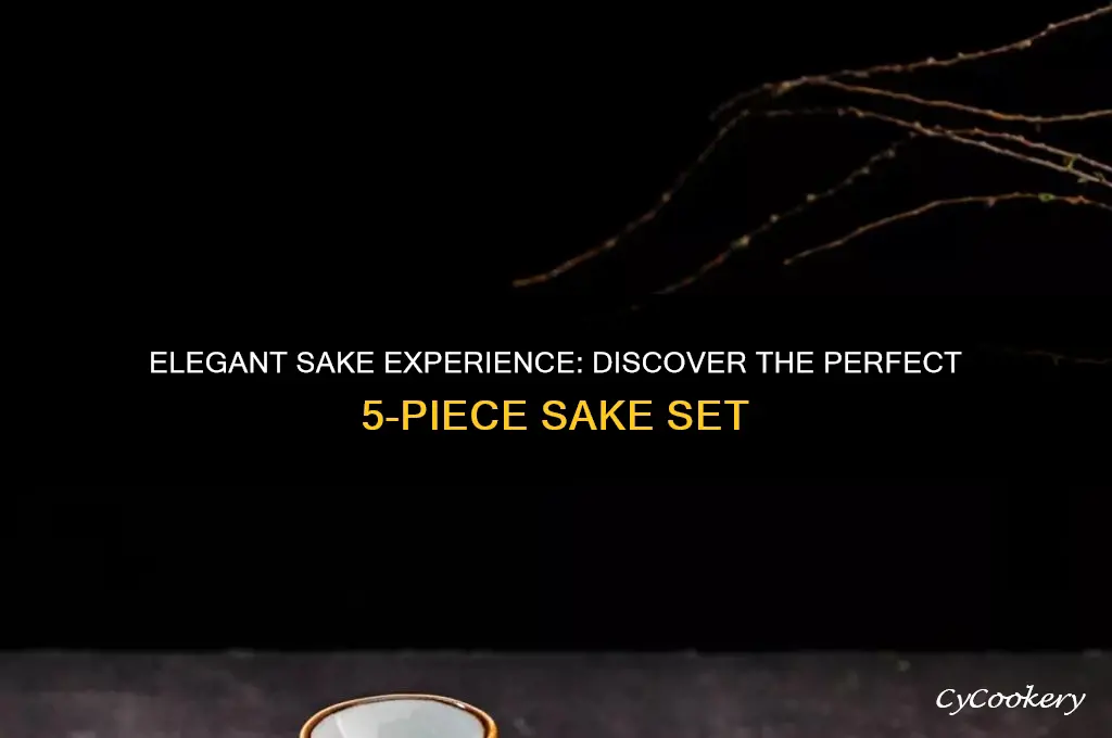 buy 5 piece sake set