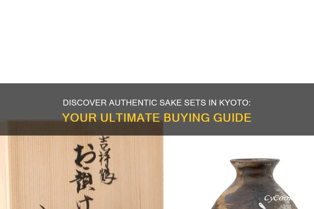 buy sake set kyoto