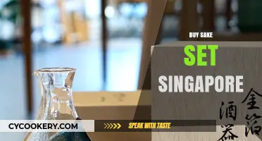 Discover the Perfect Sake Set in Singapore: A Buyer's Guide