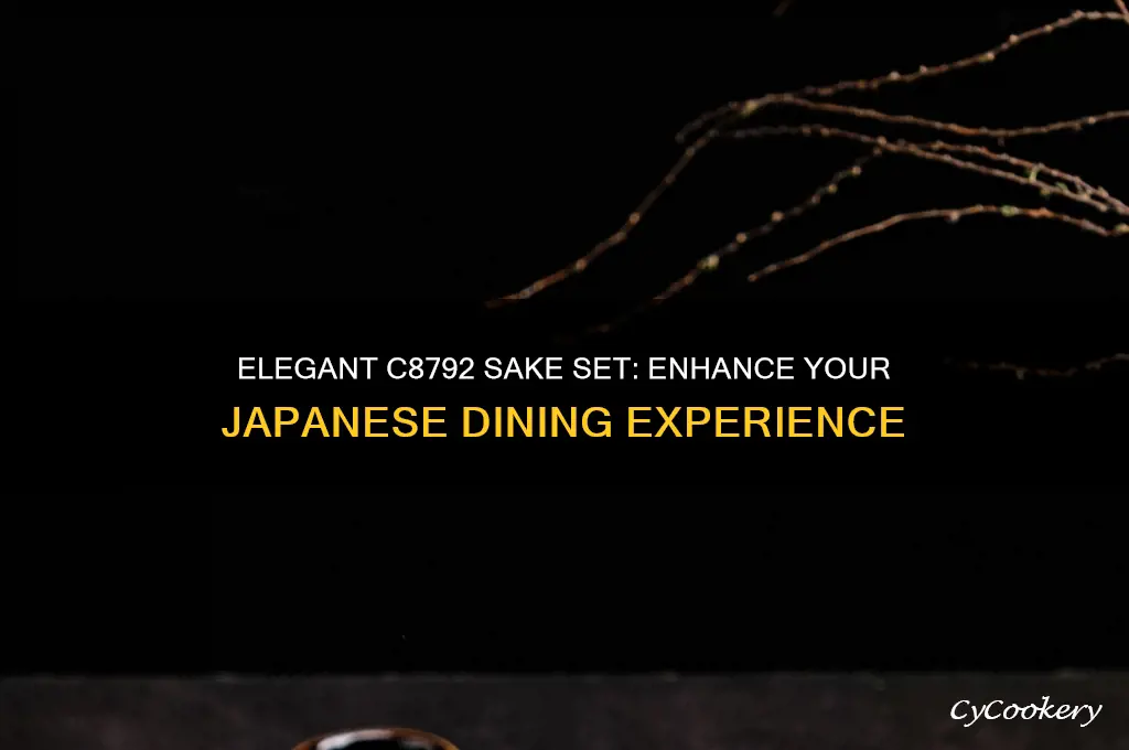 c8792 sake set