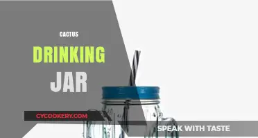 Unique Cactus Drinking Jar Ideas for Stylish Hydration Solutions