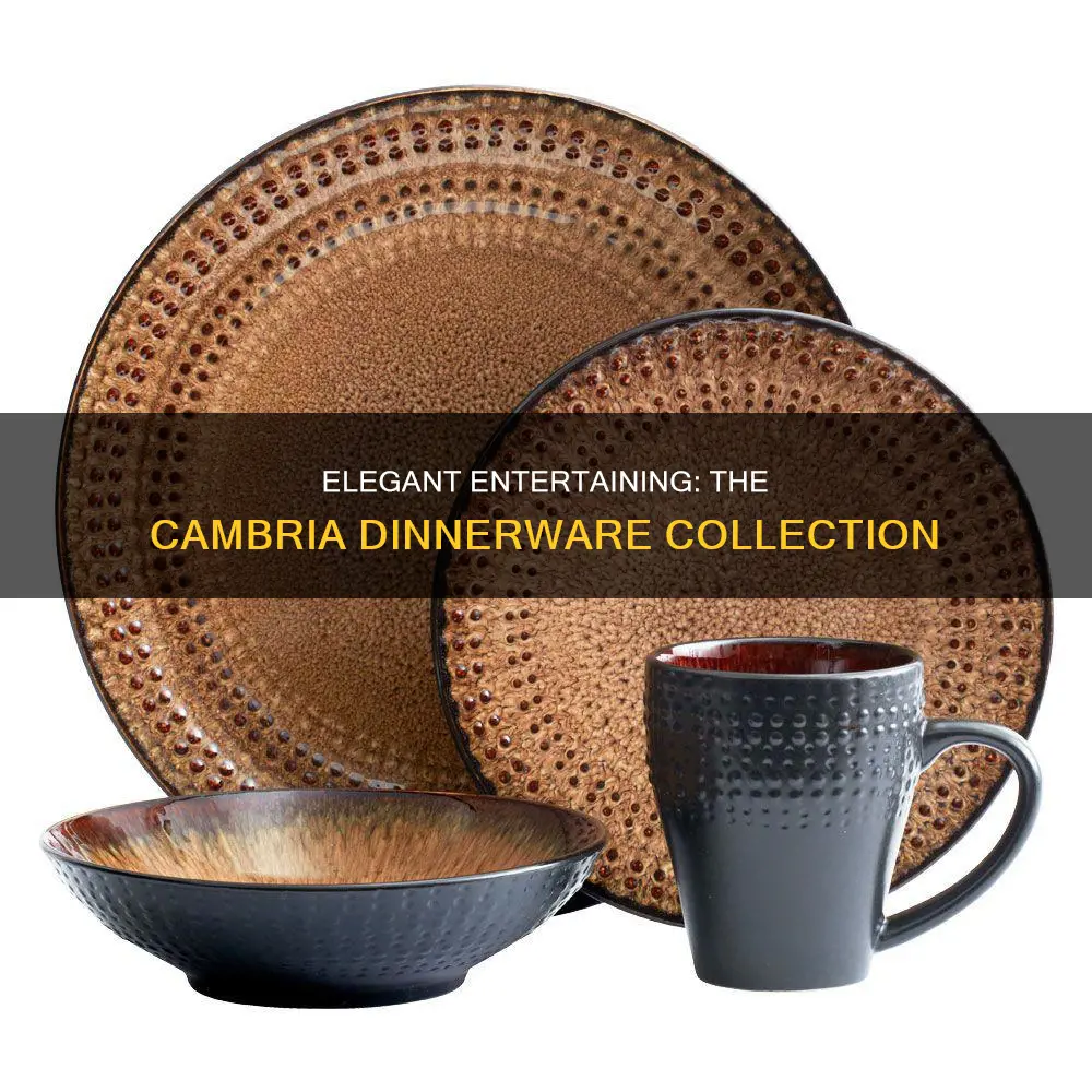 cambria 16 piece dinnerware set