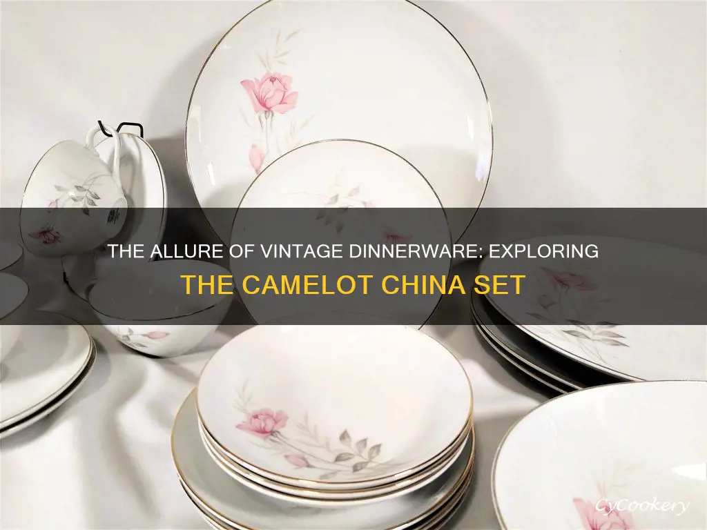 camelot china dinnerware set