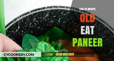 Introducing Paneer to Your 10-Month-Old: Is It Safe?