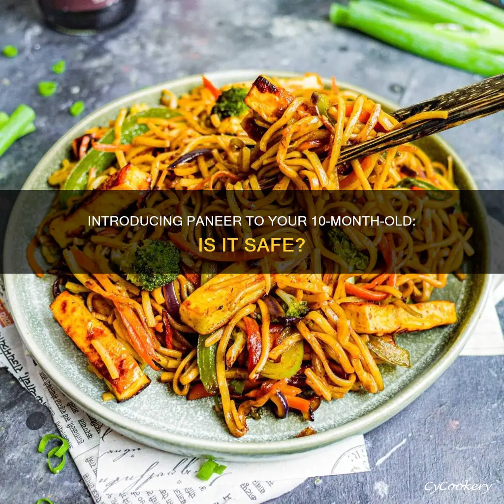 can 10 month old eat paneer