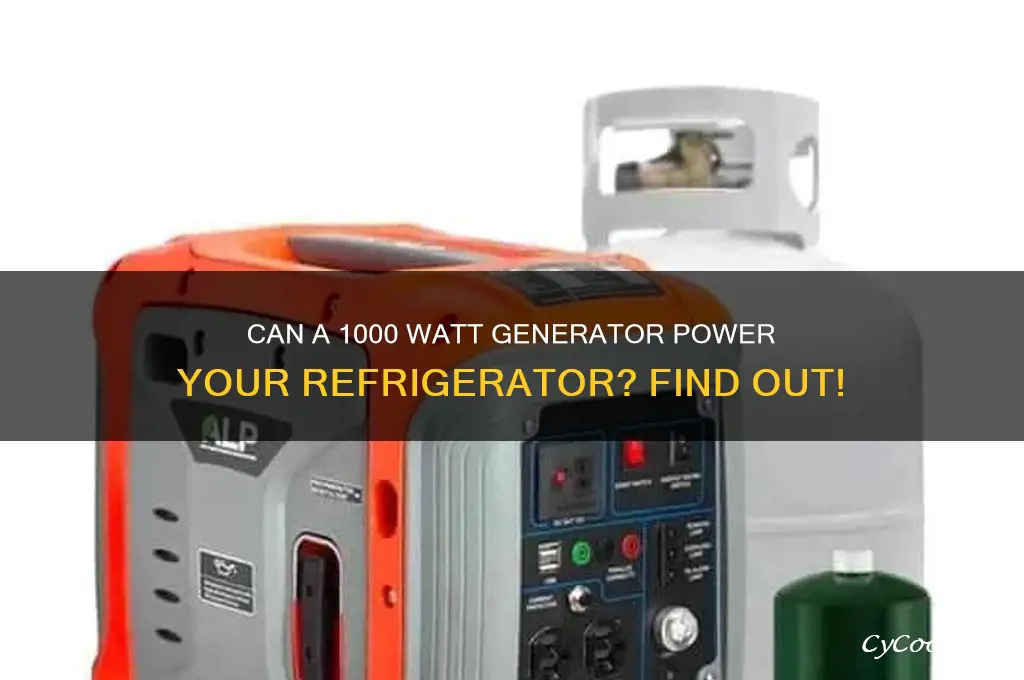 can 1000 watt generator power refrigerator