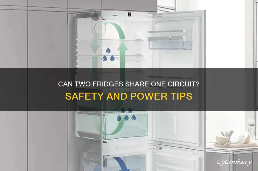 can 2 refrigerators run on one circuit